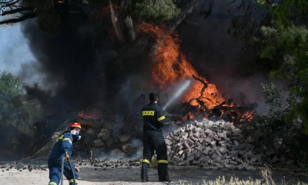 Φωτιά στη Λακωνία: Καίγεται δάσος στο Οίτυλο